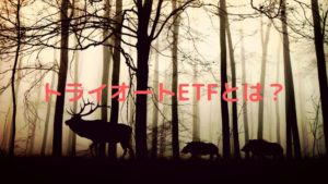 トライオートETFとは？