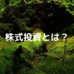 株式投資とは？