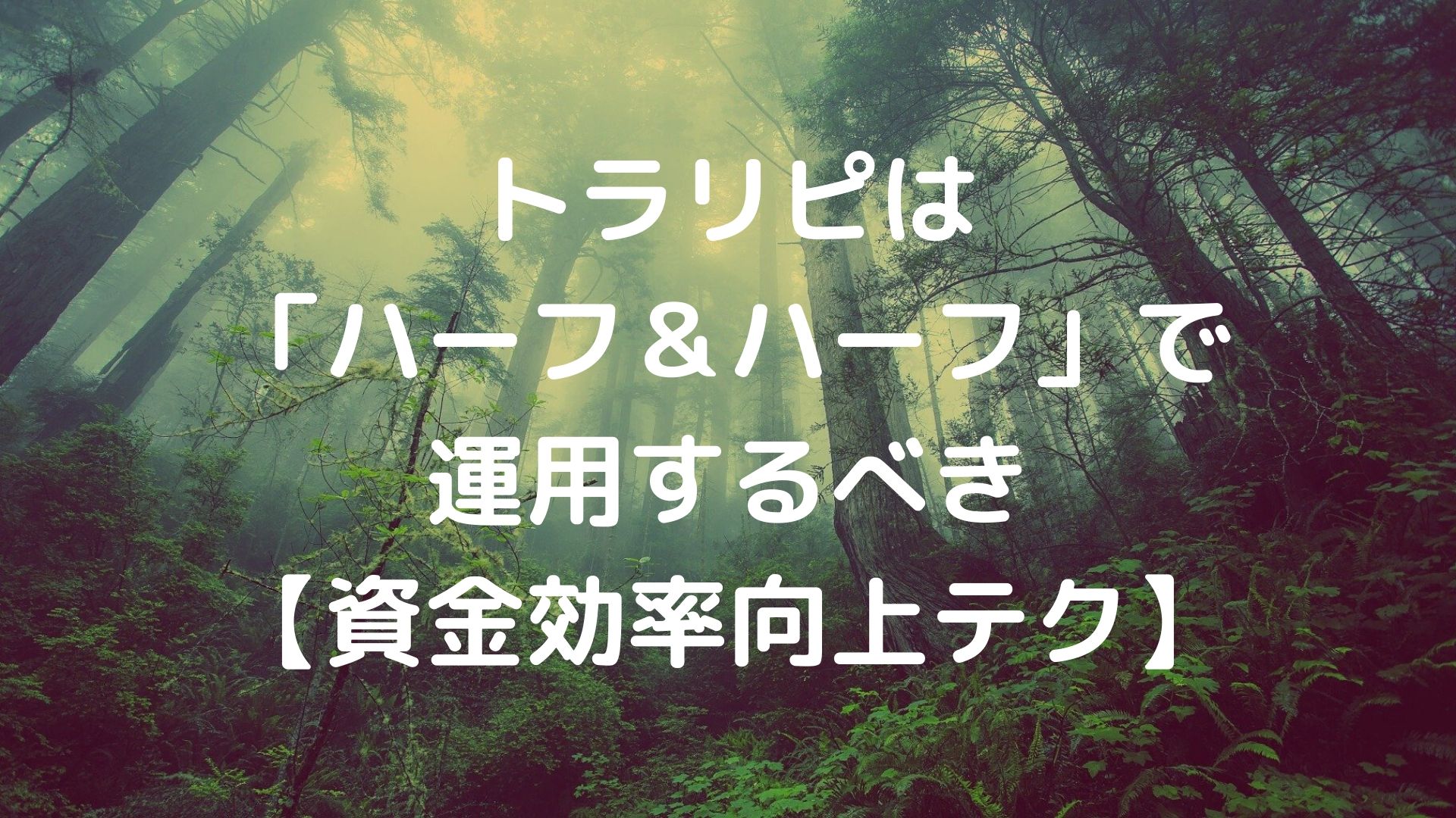 トラリピは「ハーフ＆ハーフ」で運用するべき【資金効率向上テク】