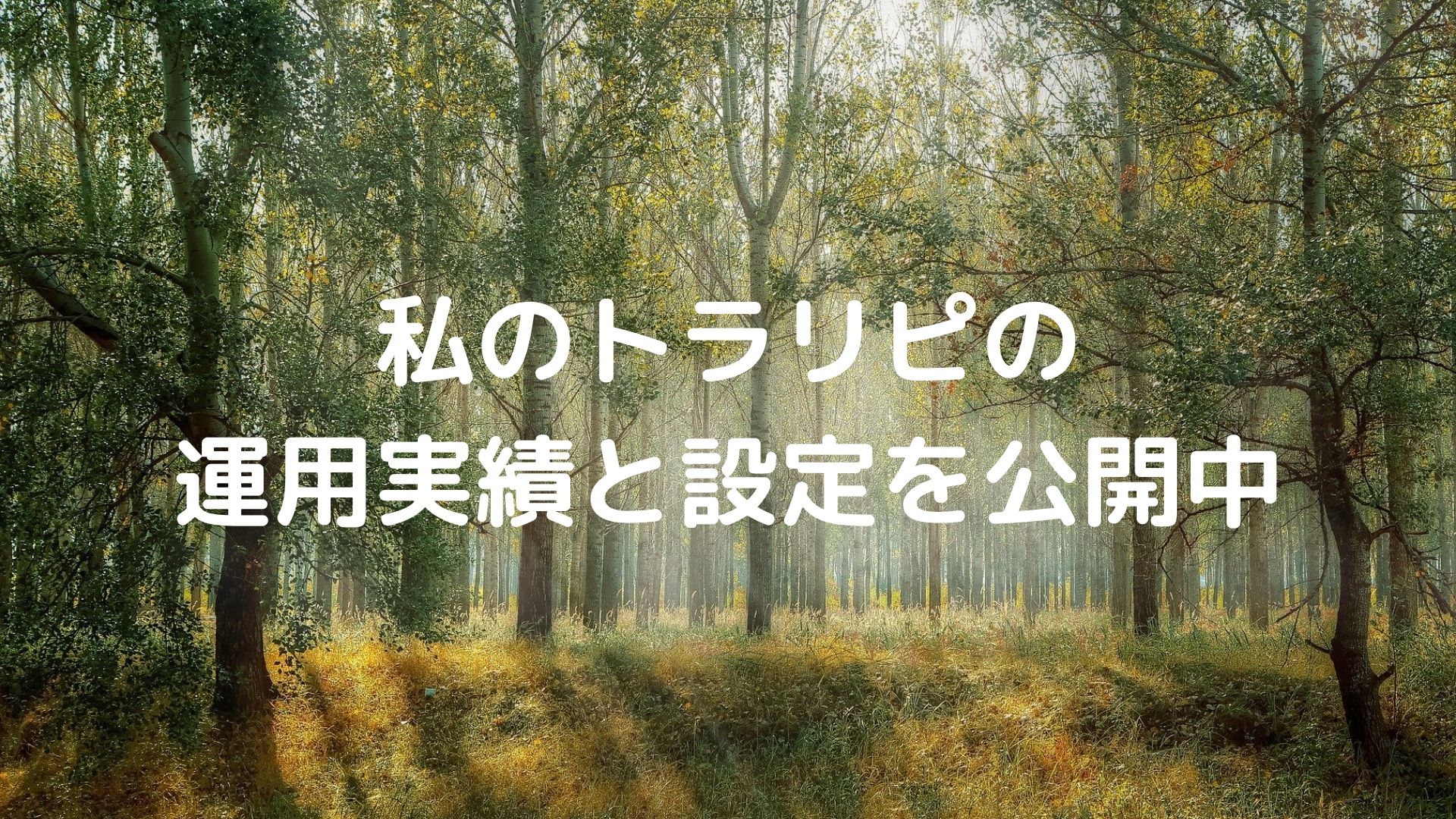 私のトラリピの運用実績と設定を公開中