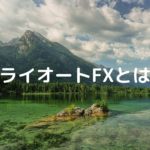 トライオートFXとは？