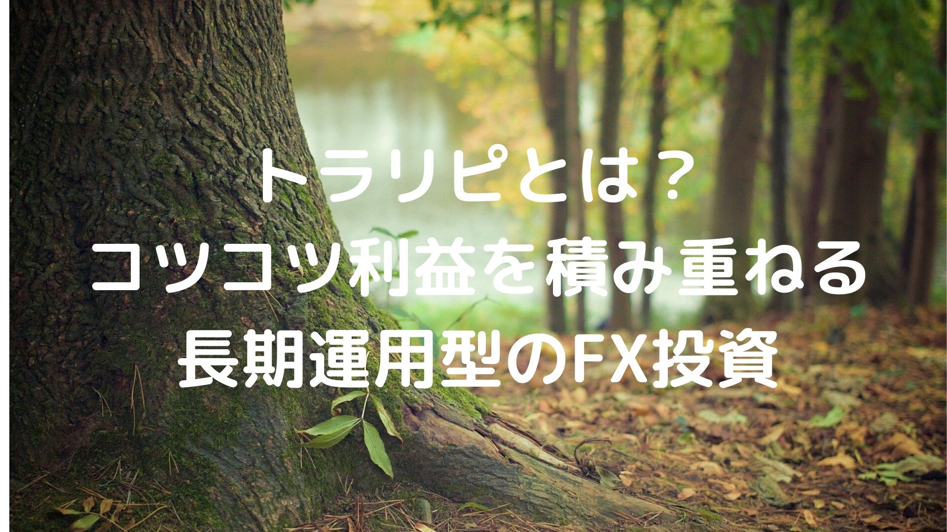 トラリピとは？コツコツ利益を積み重ねる長期運用型のFX投資